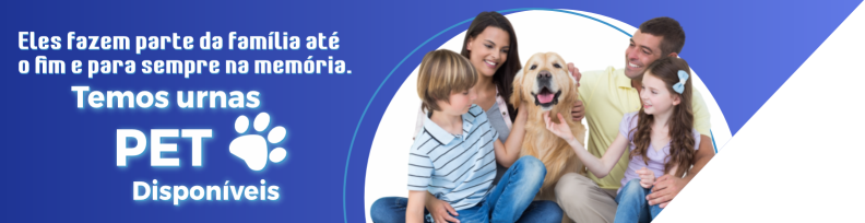 Notícia 3